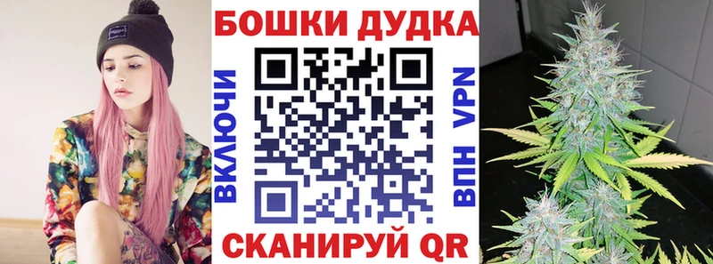 купить наркотики цена  KRAKEN tor  сайты даркнета как зайти  Луга  Бошки Шишки Amnesia 